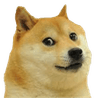 doge_uncomfortable_ud