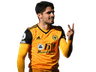 neto