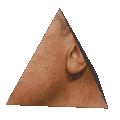 obamaspin