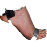 daisyridleysfoot