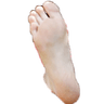 ellefanningsole