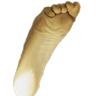 galgadotssole