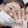 CEOnimWave