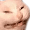 3900_AngeryCat
