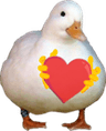 ft2_islove_ducko