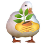 duckPlant