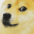 9047_doge