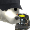 WhiteDogC4