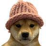 DogWifHat