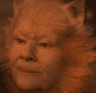 furry