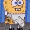 spongecock