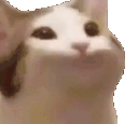 pogpogchamp