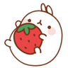 strawberrybun