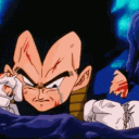 VegetaMad