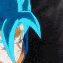 VegetoFists