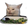 SaladCat