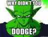 PiccoloDodge