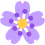 flower_purple