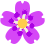 flower_neon_purple