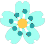 flower_mint