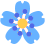 flower_light_blue