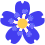 flower_dark_blue