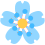 flower_sky_blue