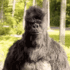 MonkeThumbsUp