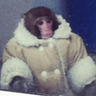 MonkeDrip