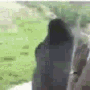 MonkeSPIINNNNN
