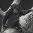 MonkeSmell