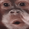 MonkePogger