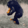 MonkeOrange