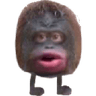 MonkeWot