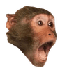MonkeOOHOOH_AHAH2