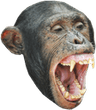 MonkeOOHOOHAHAH1