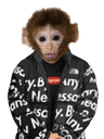 MonkeDrippy2