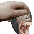 MonkePet