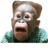 MonkeCry