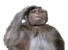 Monke4