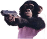 MonkeGun