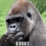 Monke2