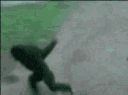 MonkeSpeed
