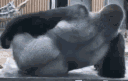 768017188761763870
