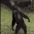 Monke8