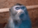 Monke6
