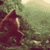 MonkeDancer