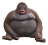 MonkeUhOh