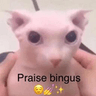 bingus