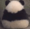 HMangrypanda